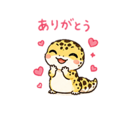 843784466