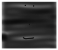 843784727