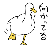 843784926