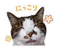 843785184