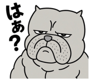 843785278