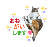 843785383