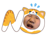 843785594