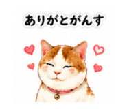 843785811
