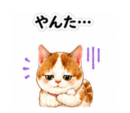 843785817