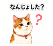 843785818