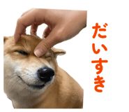843786441