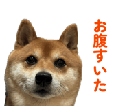 843786442
