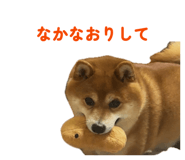 843786443