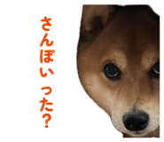 843786444