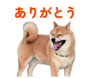 843786446