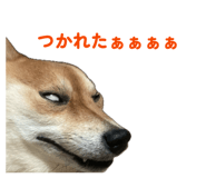 843786448