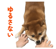 843786450