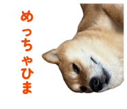 843786451
