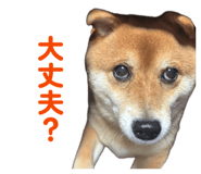 843786453