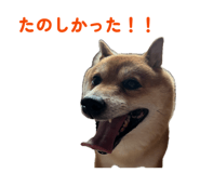 843786455