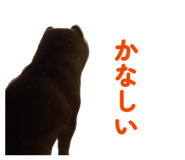 843786456