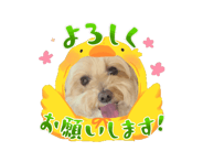 843786889