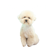 843787333