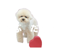 843787334