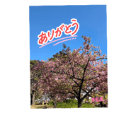 843787361