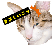 843787377