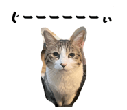 843787379