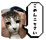 843787381
