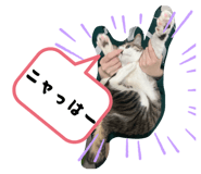 843787383