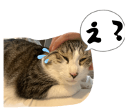 843787384