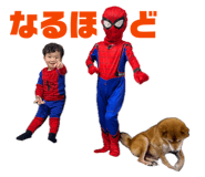 843787550