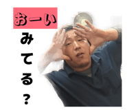 843787681