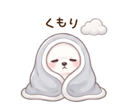 843787792
