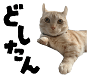 843787893