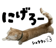 843787896