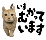 843787899