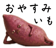 843788203