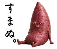 843788206