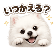 843788742
