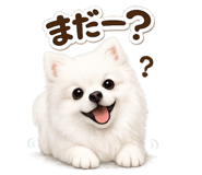 843788743