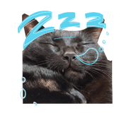843788929