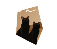 843788930