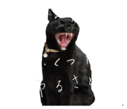 843788931