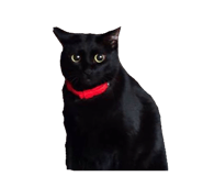843788932