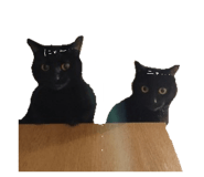 843788934