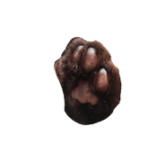 843788935