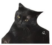 843788936
