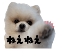 843789794