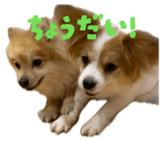 843789795