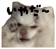 843789797